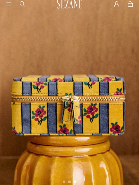 Sezane Accessories - NWT Sezane Jewelry case